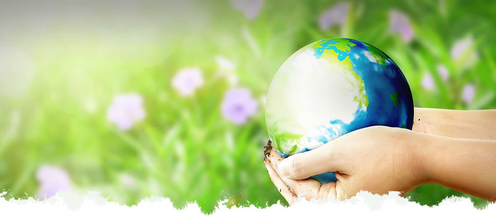 首页 - PNG电子官方网站