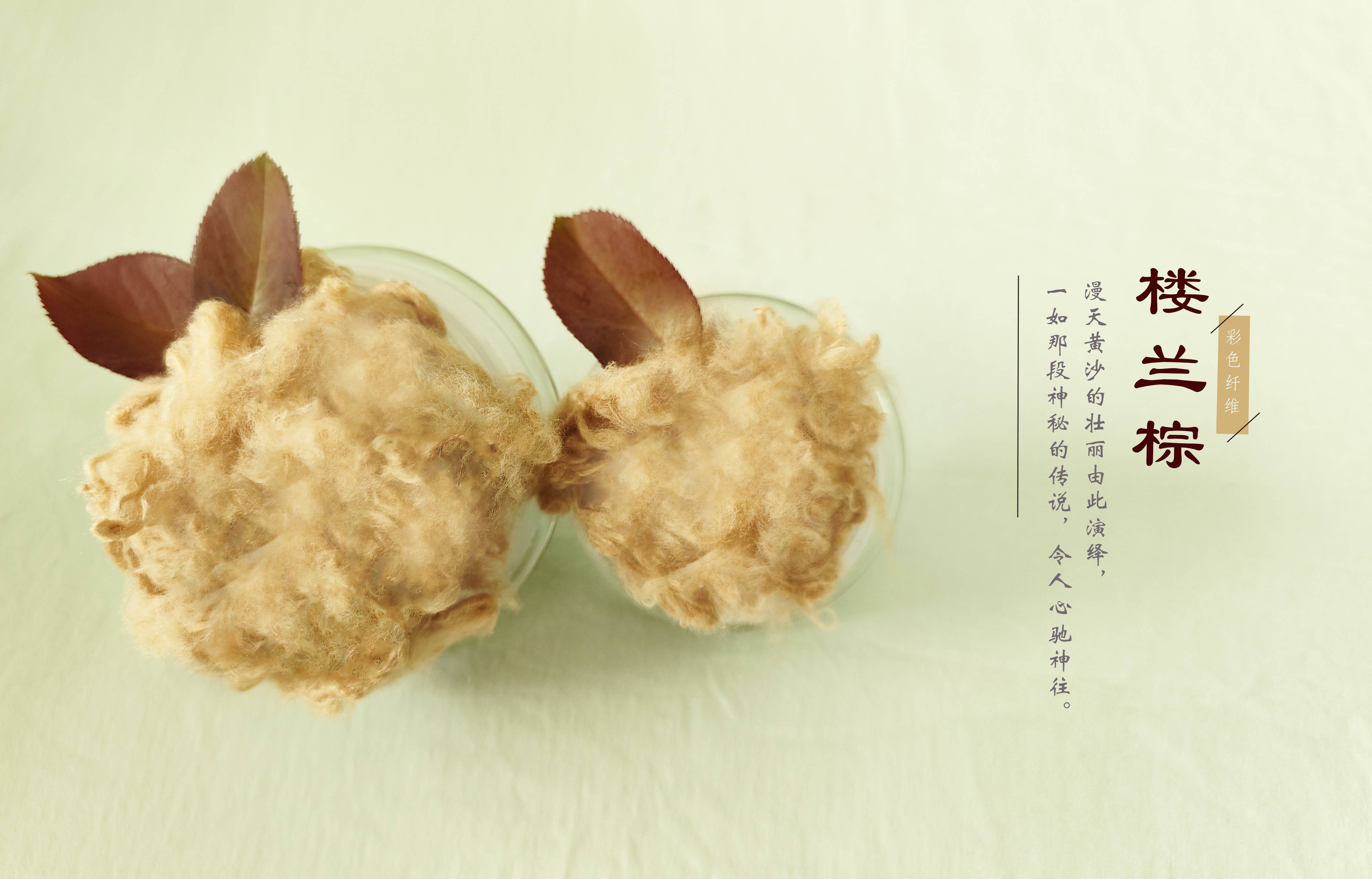 首页 - PNG电子官方网站