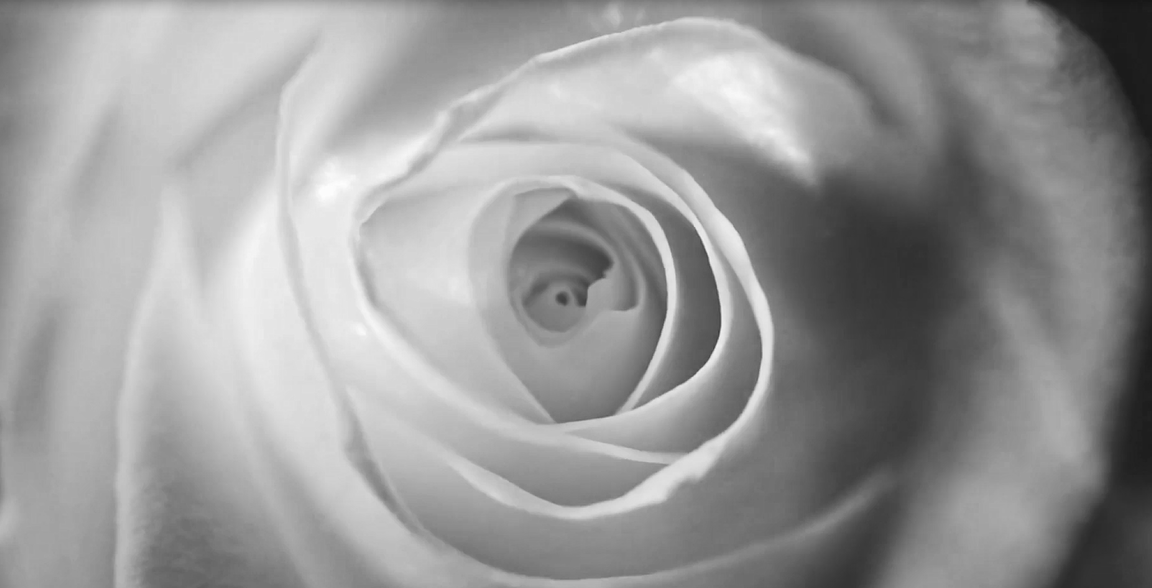 首页 - PNG电子官方网站