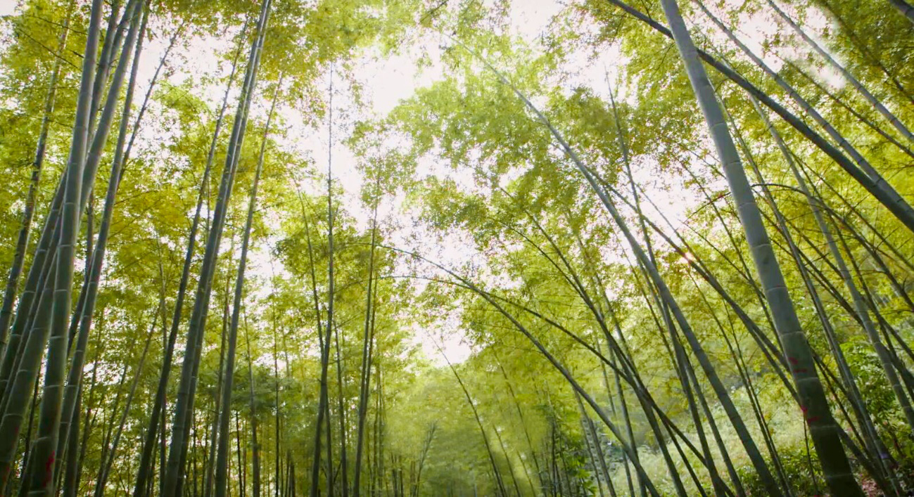 首页 - PNG电子官方网站