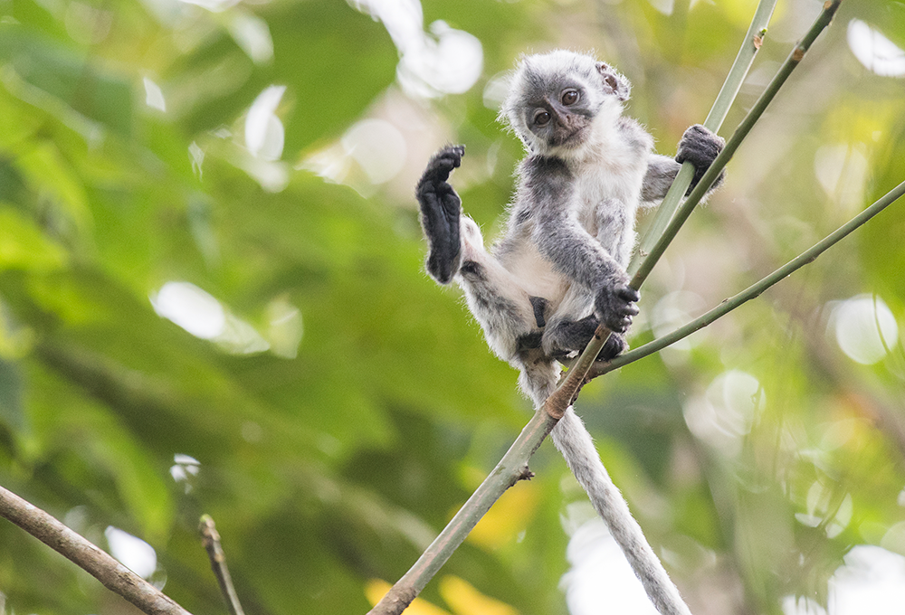 首页 - PNG电子官方网站